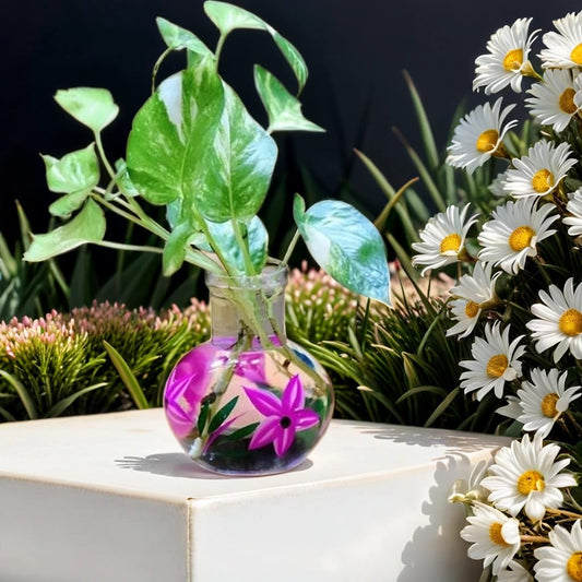 Zest HANDICRAFTS Round Glass Vase, for Money Plant, Lucky Bamboo Plant, Flower Pot, 12X10 cm Elegant Flower Designed Vase and Clear